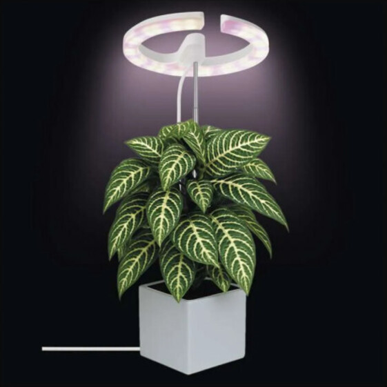 Pestovateľská lampa 8W stmievateľná + časovač